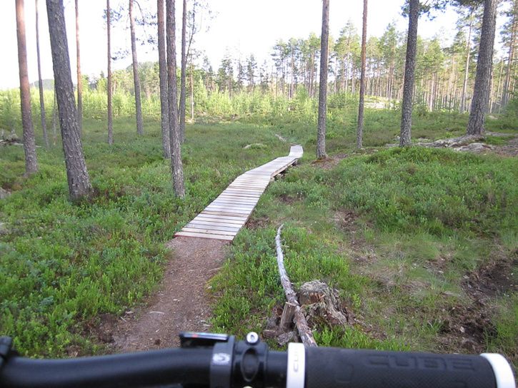 Rrbcksns-14.jpg ht=544