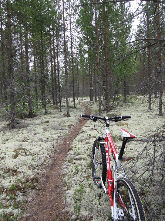 Rrbcksns-2.jpg ht=725