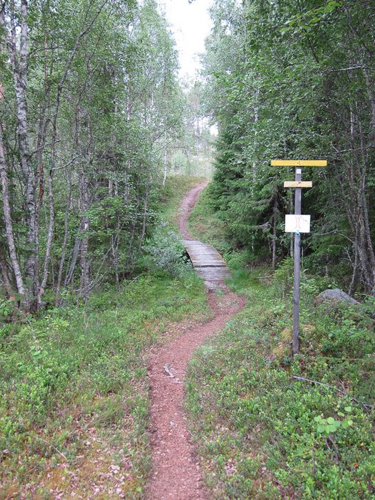 Rrbcksns-4.jpg ht=725