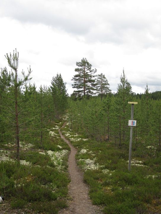 Rrbcksns-5.jpg ht=725