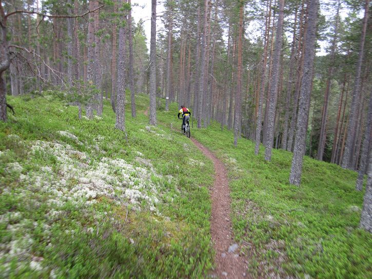 Rrbcksns-6.jpg ht=544