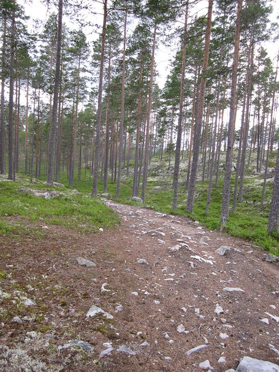 Rrbcksns-8.jpg ht=725