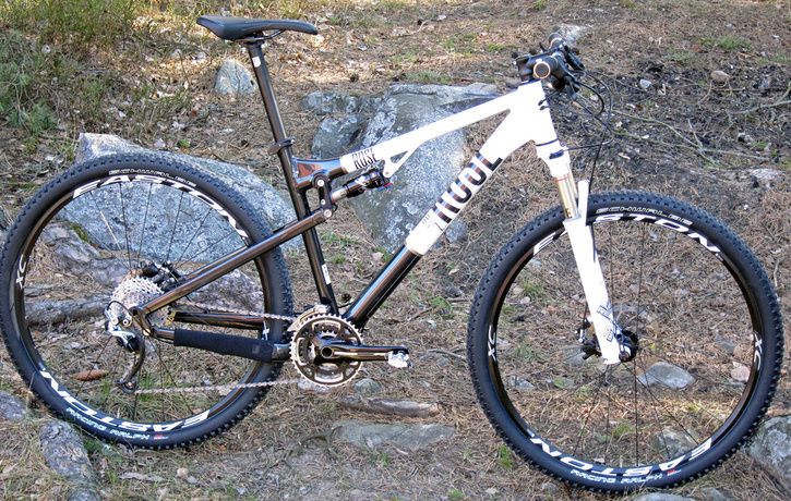 Rose-DrZ-29.jpg