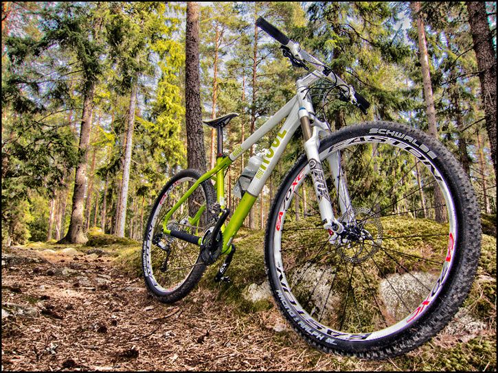 RoseMrRide4_IMG_0489.jpg