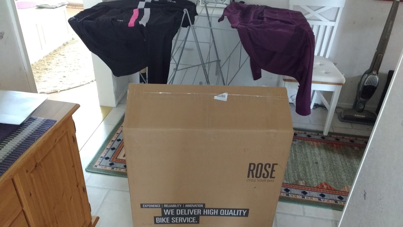 rosep.jpg
