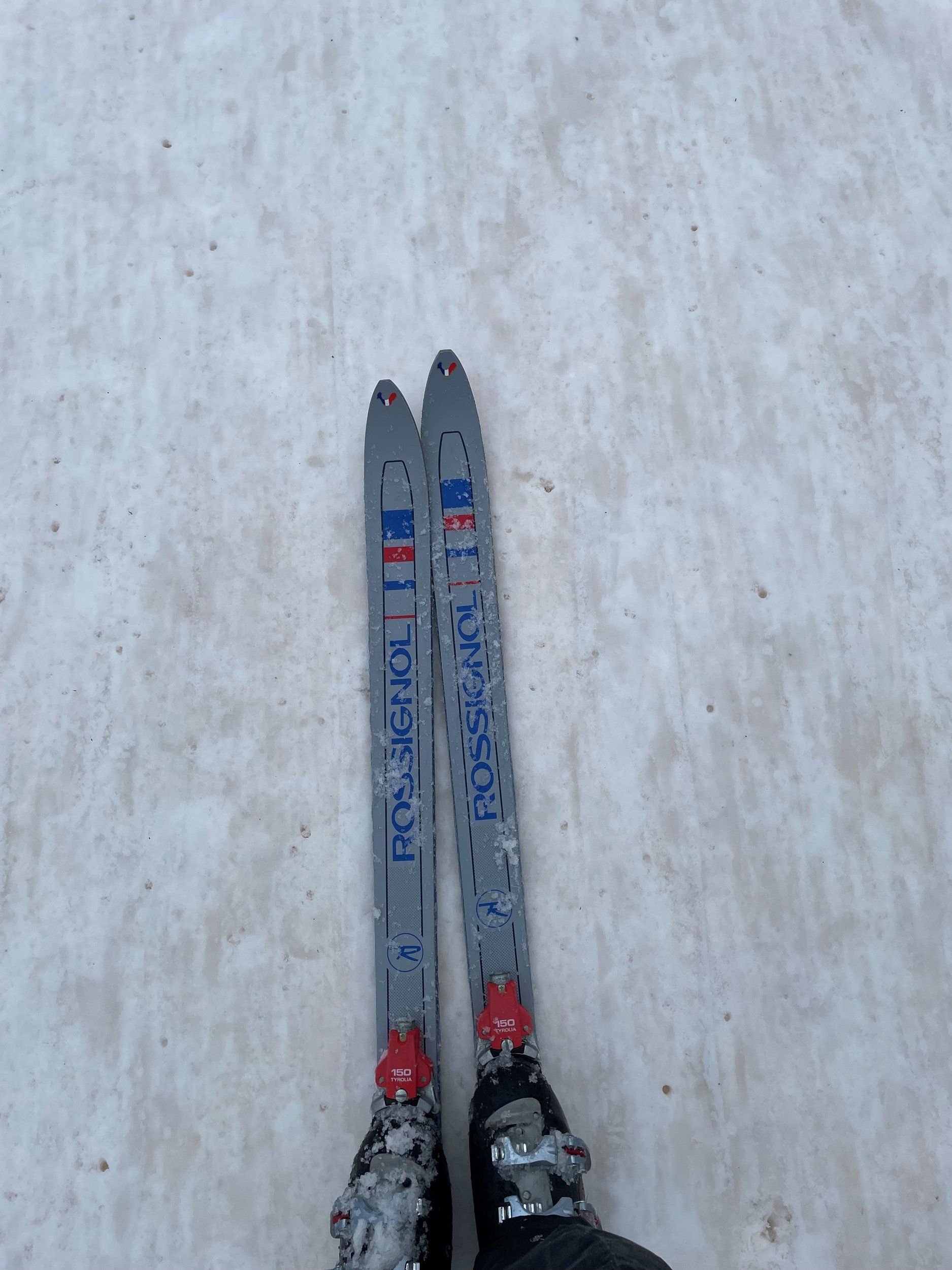 Rossignol.jpg