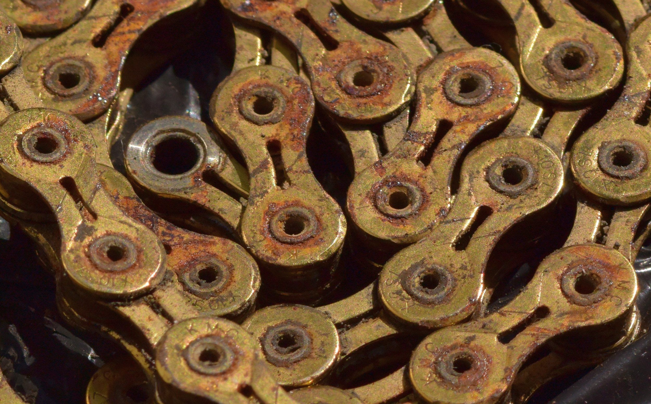 rost.jpg