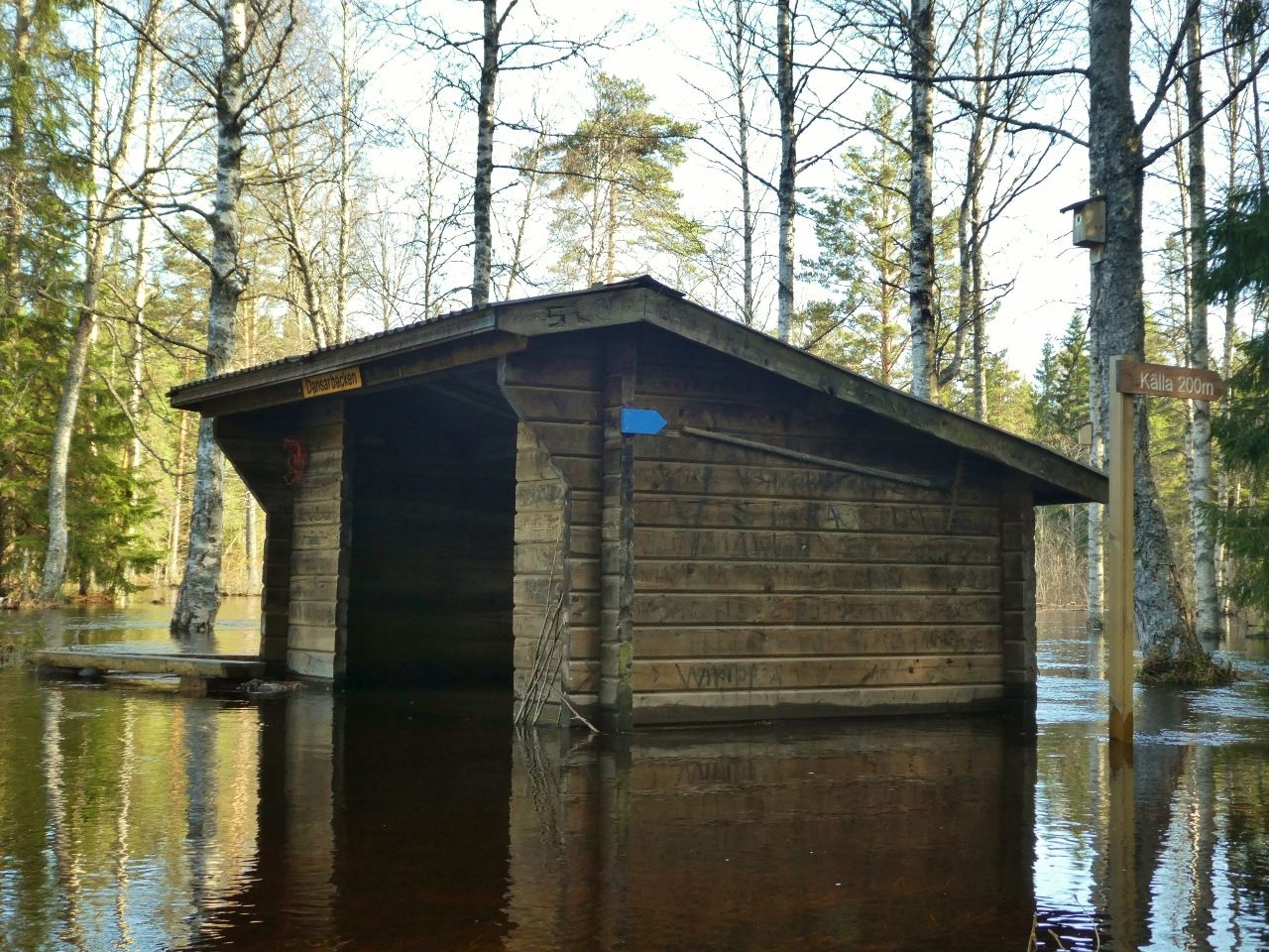 RP1050231.jpg