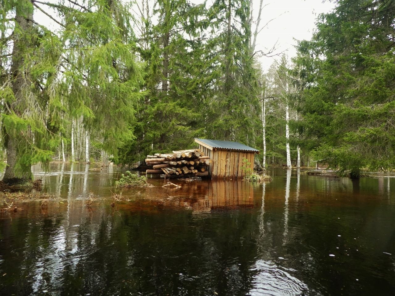 RP1050381.jpg