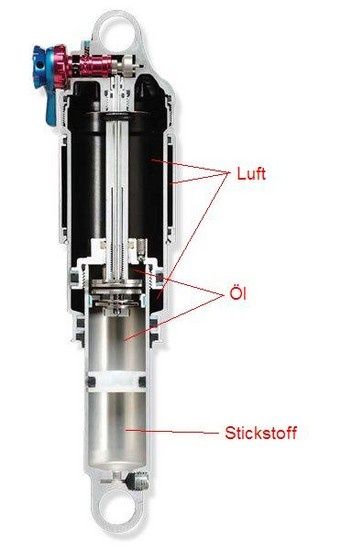 rp23internalpicture4.jpg