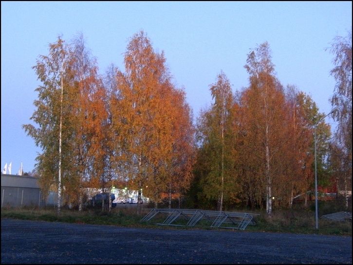 rr01.jpg