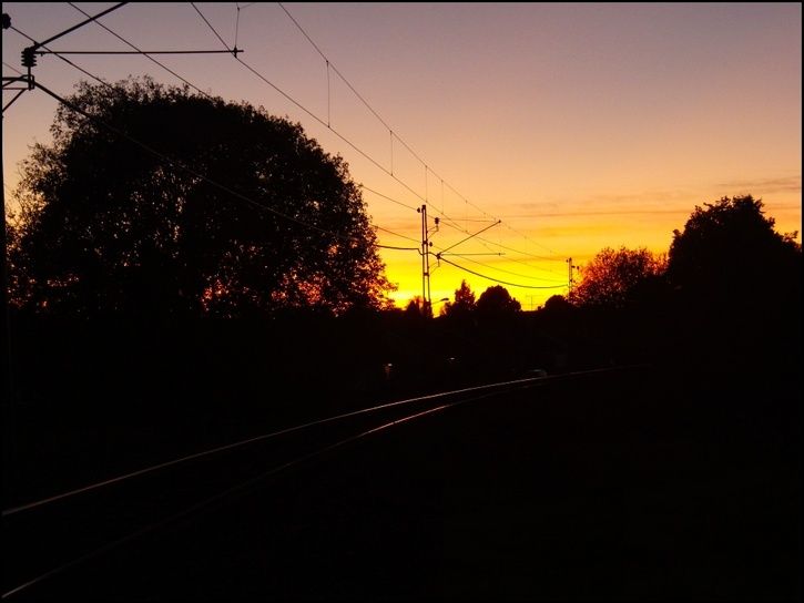 rr03.jpg