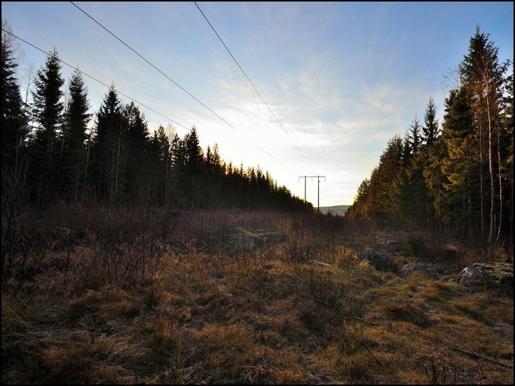 rr03.jpg