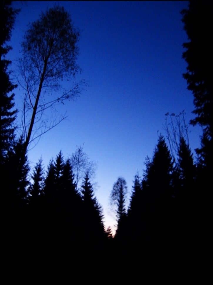 rr04.jpg