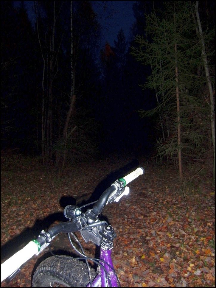 rr05.jpg