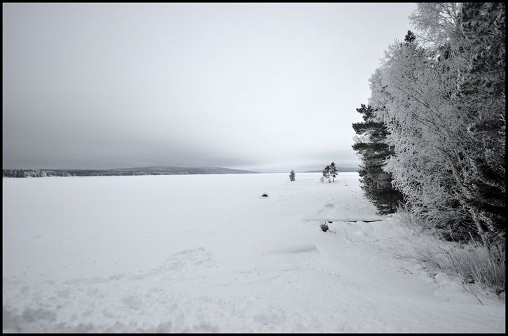 rr06.jpg ht=480