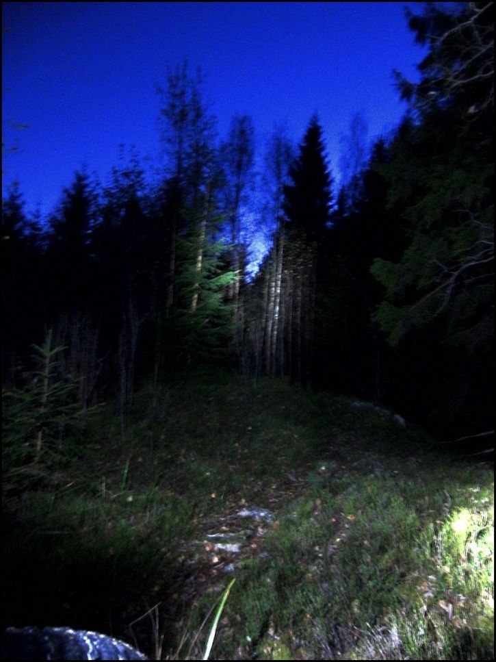 rr06.jpg