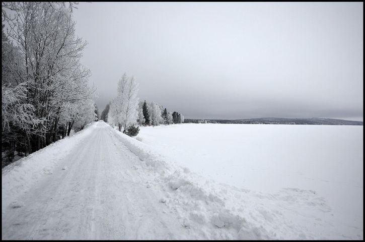 rr07.jpg ht=480
