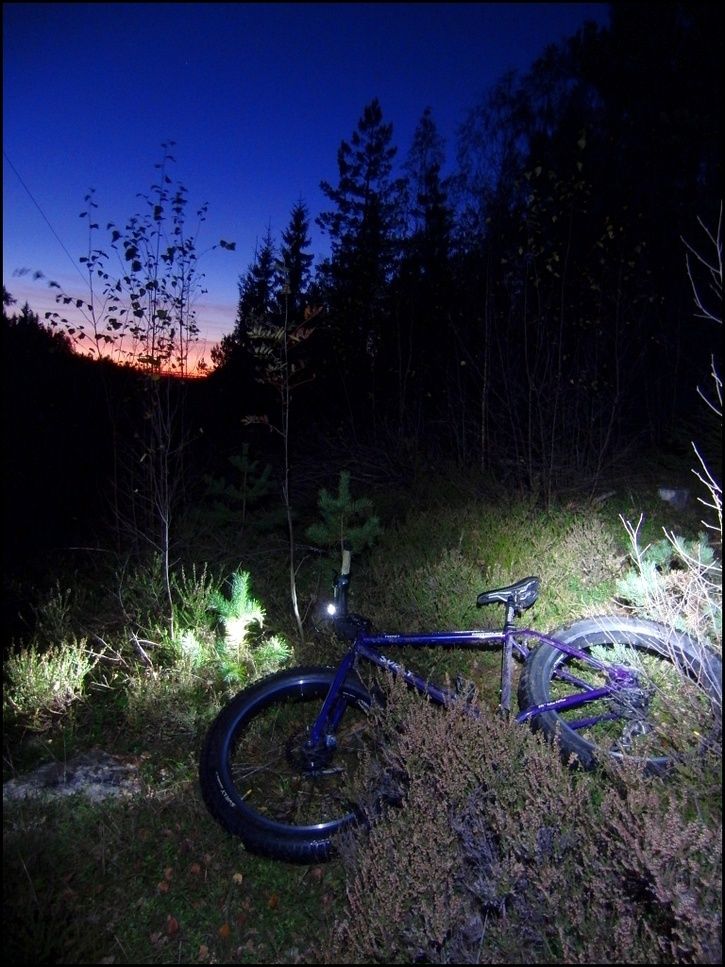 rr08.jpg