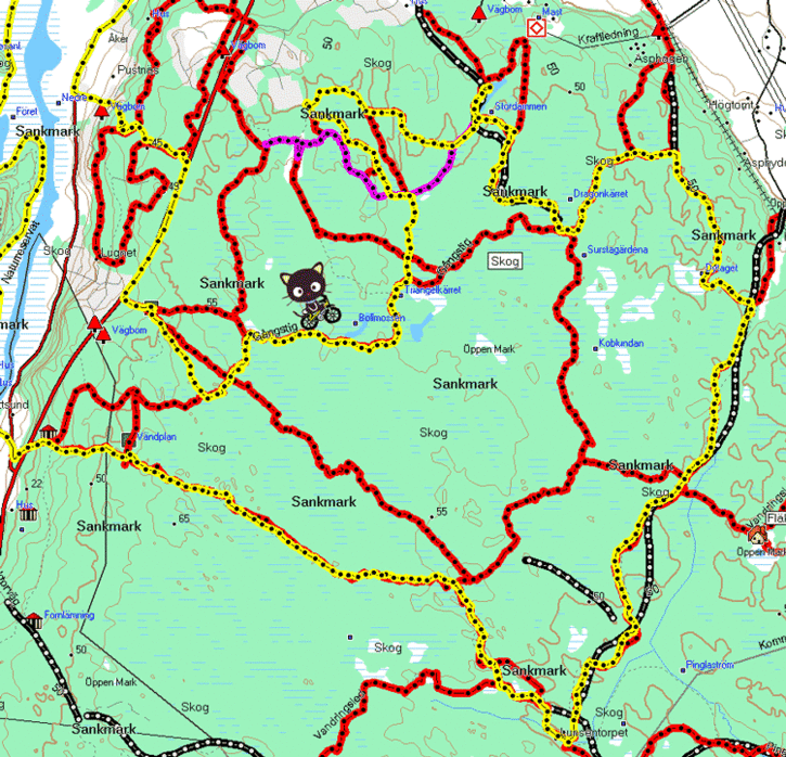 rr20071028.gif ht=698