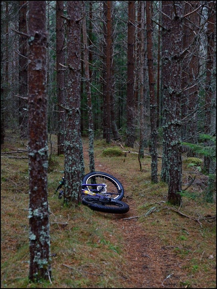 rr23.jpg