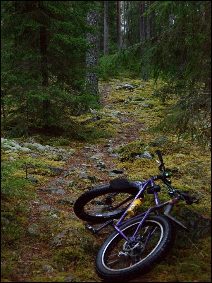 rr29.jpg