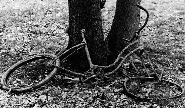 Rusty_Schwinn.jpg ht=357
