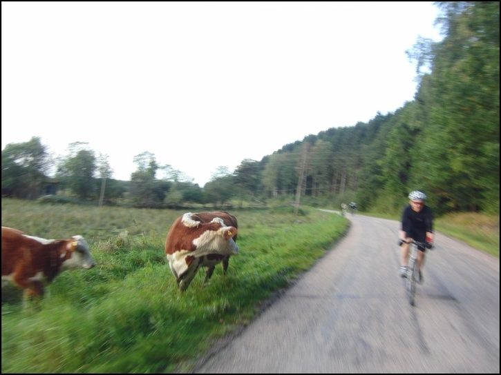 rvr08.jpg