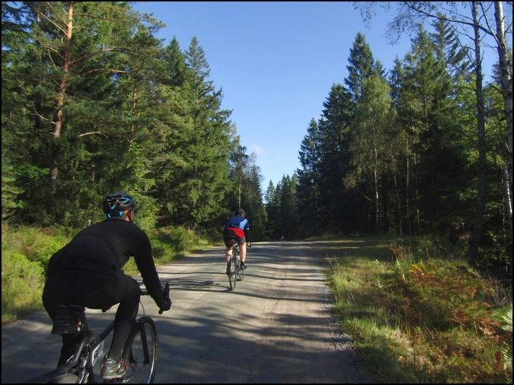 rvr19.jpg