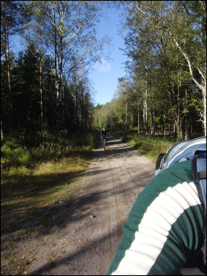 rvr21.jpg