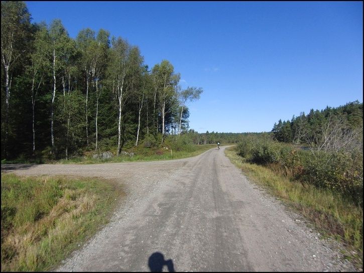 rvr25.jpg