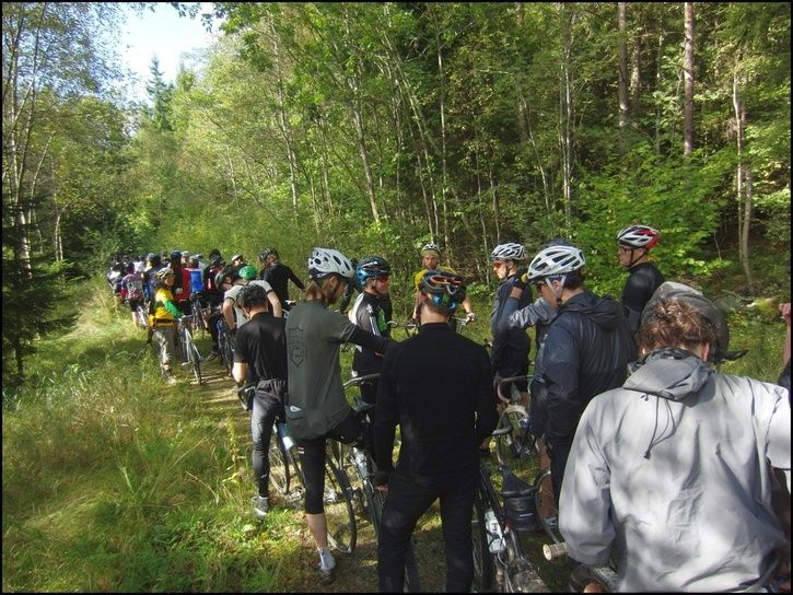 rvr38.jpg