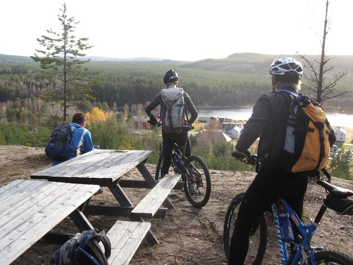 Ryggvindel.jpg ht=544