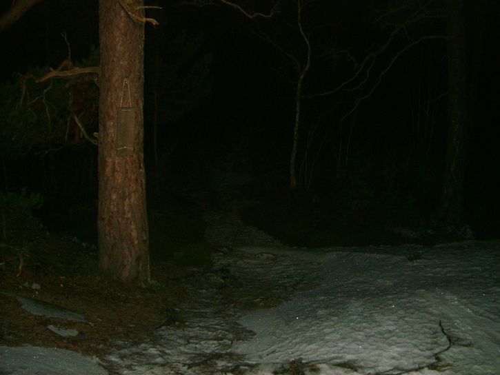 S5002069.JPG ht=544