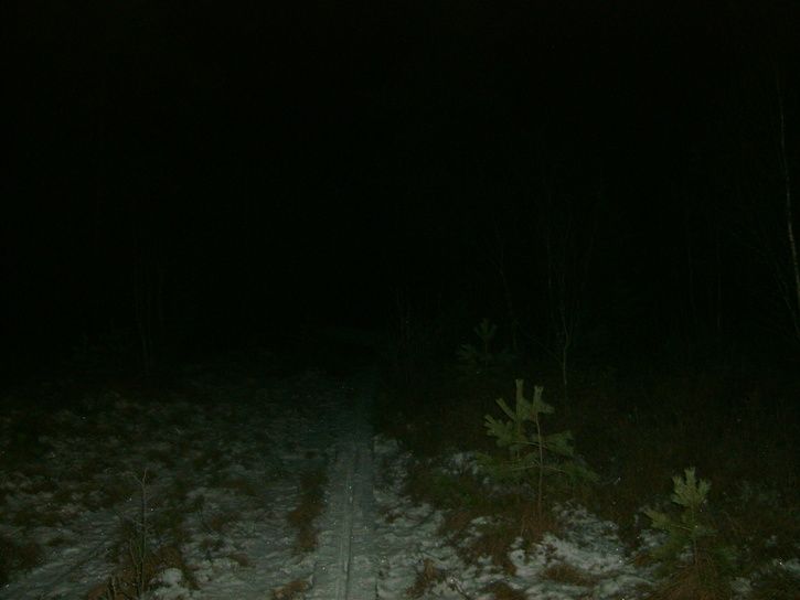 S5002071.JPG ht=544