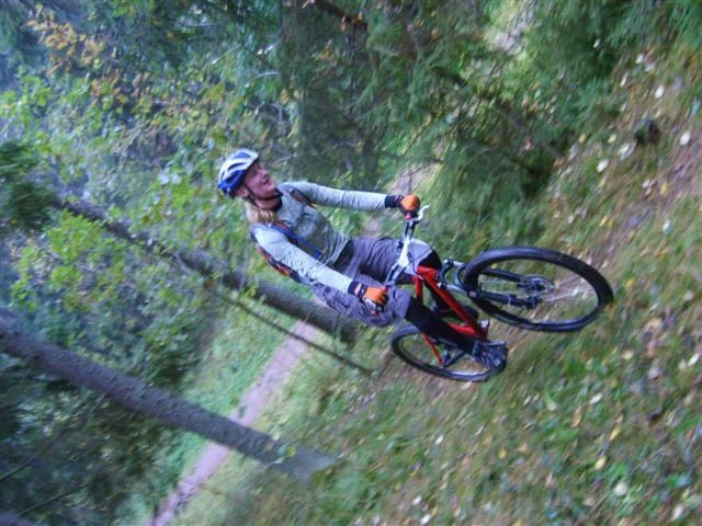 S6003115Small.JPG ht=480