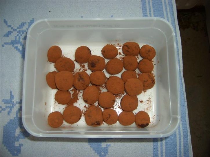 S6003392Medium.JPG ht=544