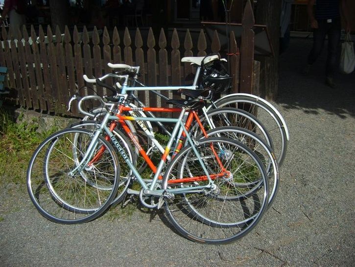 S6003632Medium.JPG ht=544