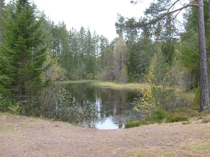 S6300796_1.JPG ht=544