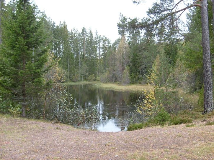 S6300797_1.JPG ht=544