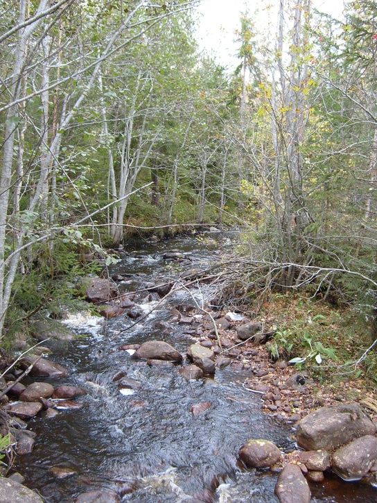 S6300798_1.JPG ht=725