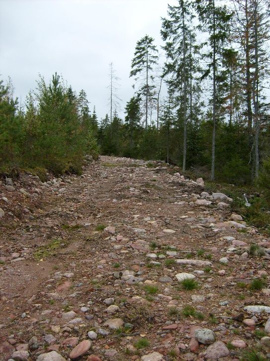 S6300799_1.JPG ht=725