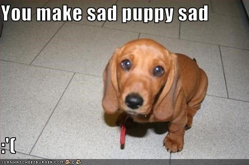 sadpuppy.jpg