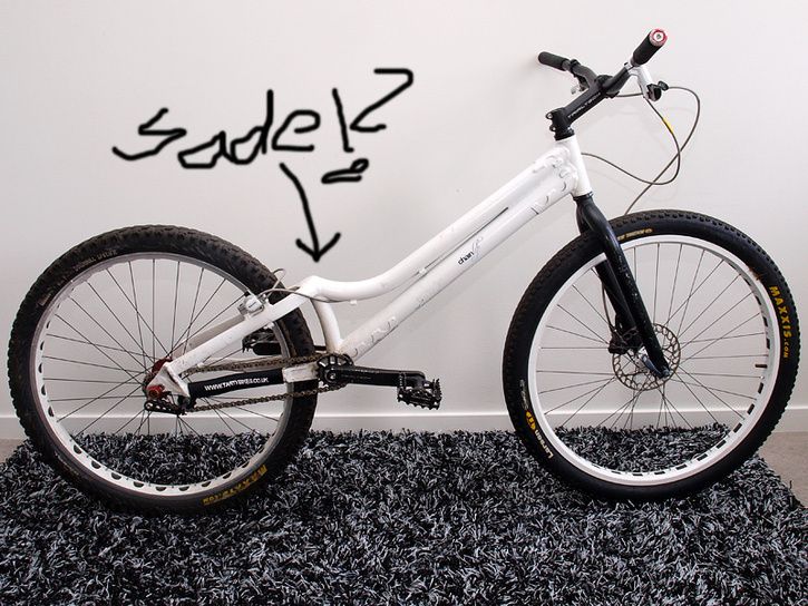 sadel.jpg ht=544