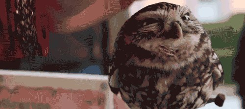 sja-lugnochfin.gif