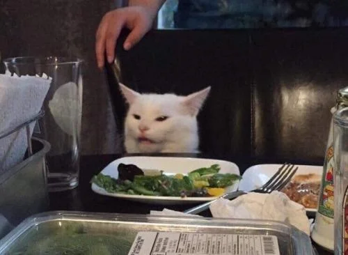 Salad-cat-meme-8.webp