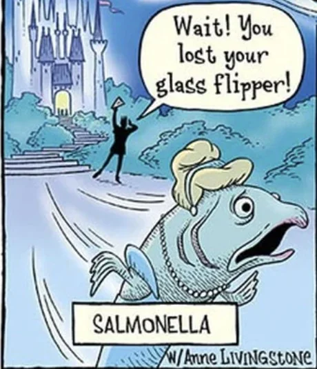 salmon.webp