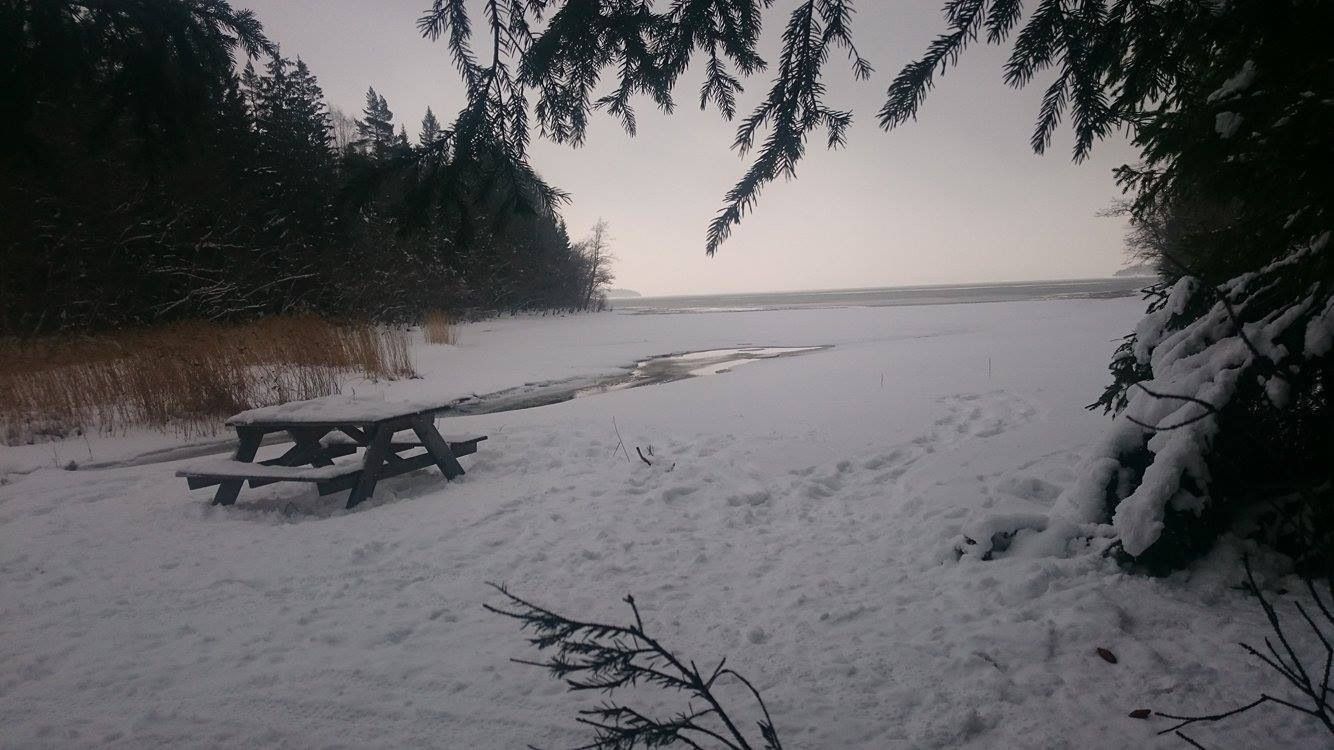 Salsviken-fatbike.jpg