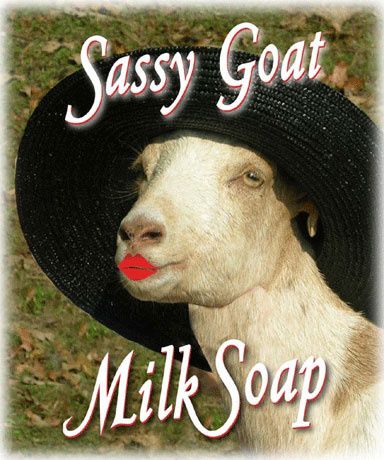 SassyGoatMilkSoap.jpg ht=460
