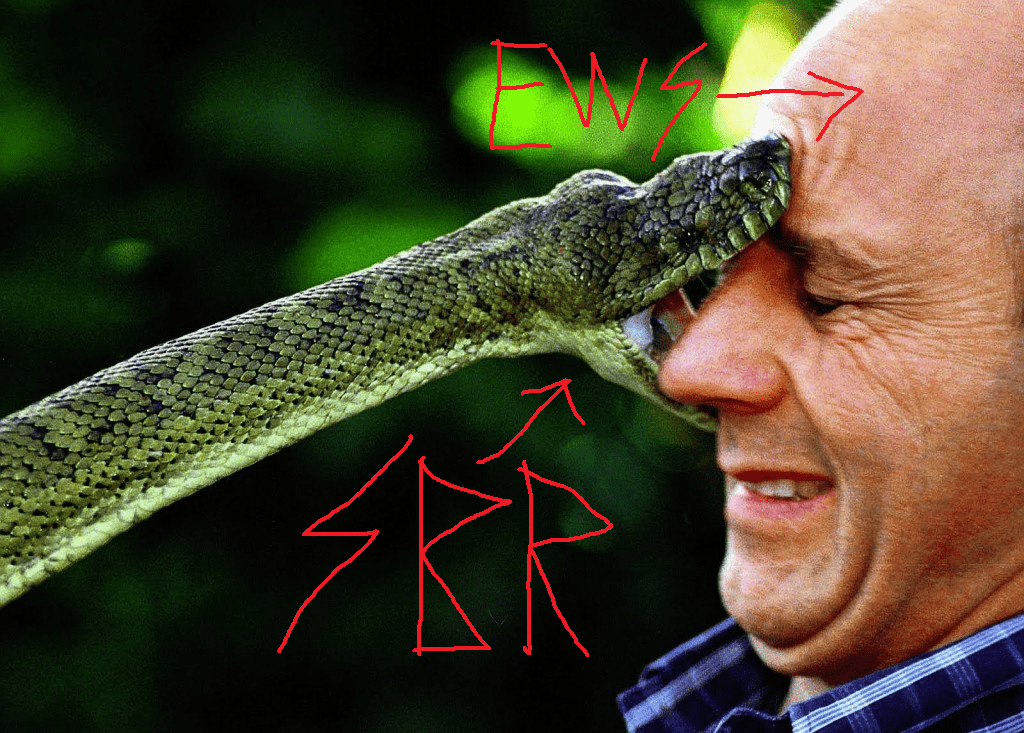 sbrVSews.png